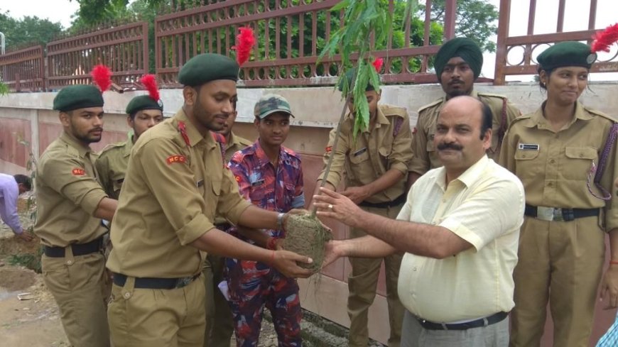 Tree Plantation Programme by NCC Cadets